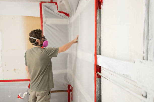 Professional Mold Removal in Edcouch, TX